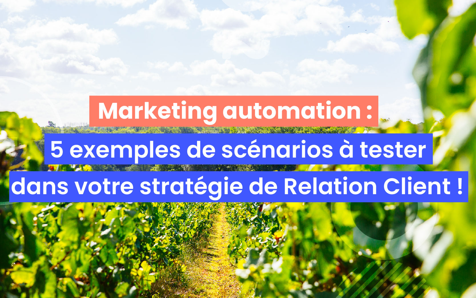 Visuel_Blog_Les_Conteurs_marketing-Automation Marketing automation : découvrez 5 scénarion à tester dans votre GRC !