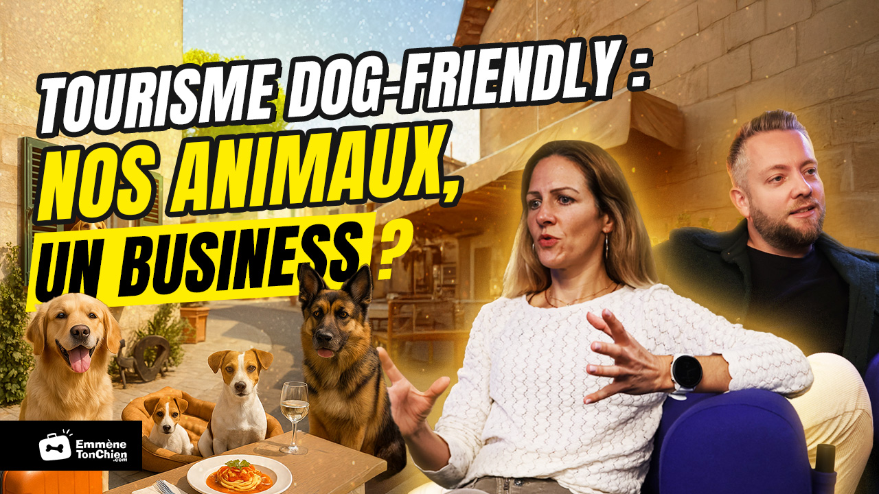 Découvrez quel magazine de tourisme feuilleter !